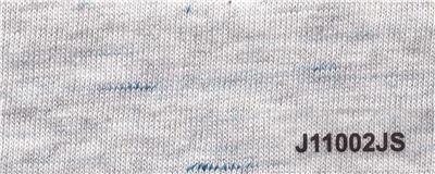 J11002JS