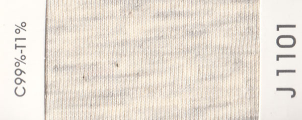 J1101
