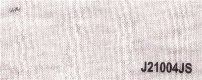 J21004JS