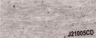 J21005CD