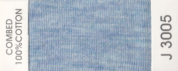 J3005