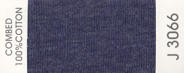 J3066