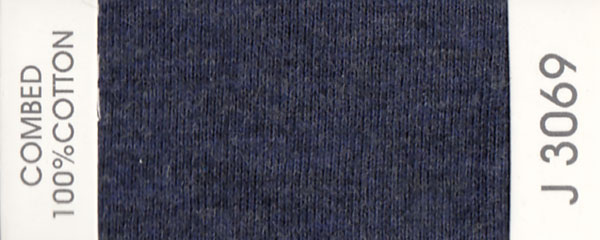 J3069