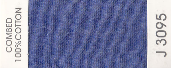 J3095