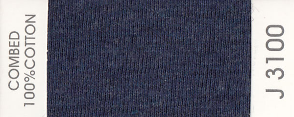 J3100