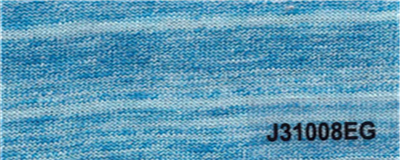 J31008EG