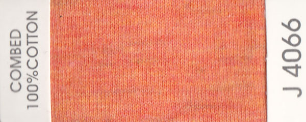 J4066