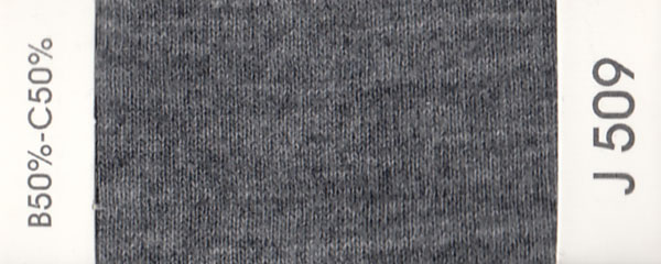 J509
