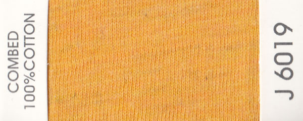 J6019