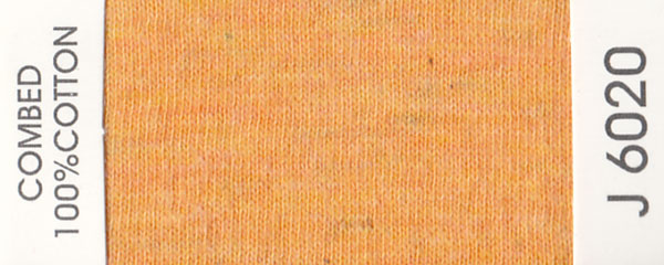 J6020