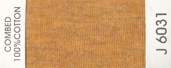 J6031