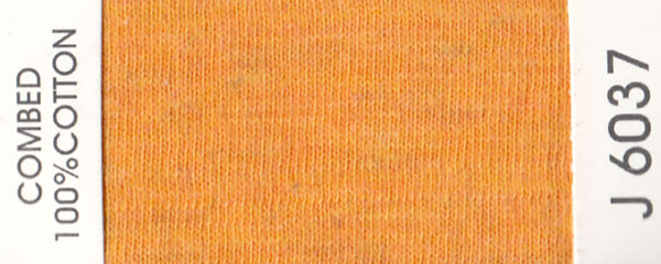 J6037