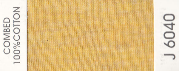 J6040