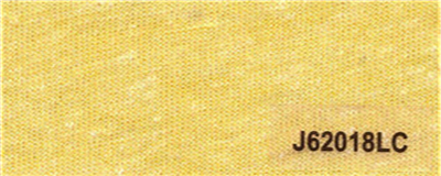 J62018LC