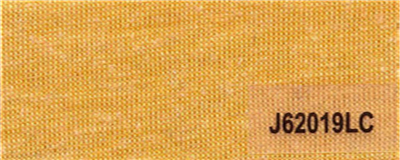 J62019LC