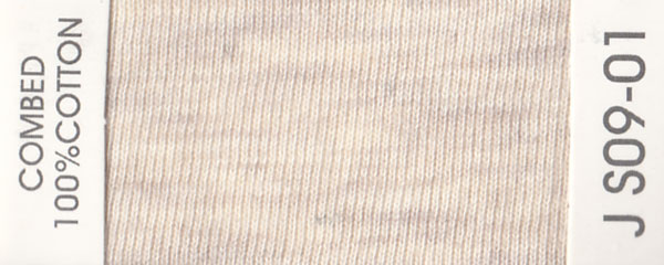 JS09-01