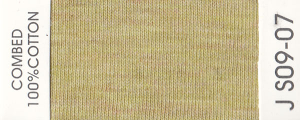 JS09-07