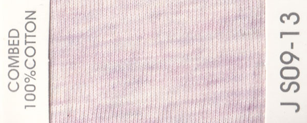 JS09-13