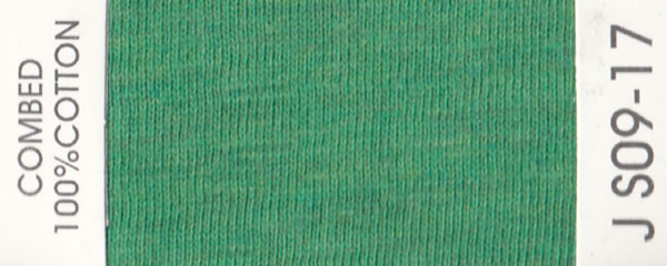 JS09-17