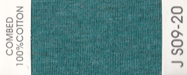 JS09-20