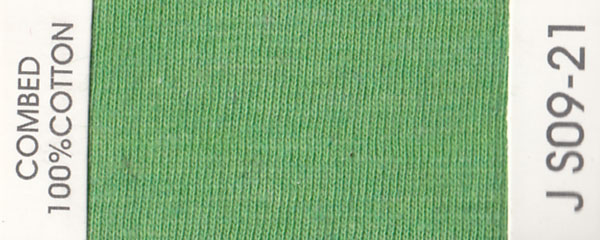 JS09-21
