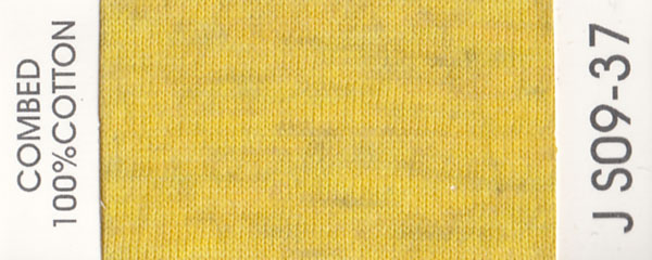 JS09-37