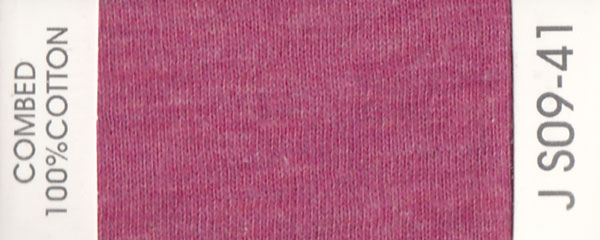 JS09-41