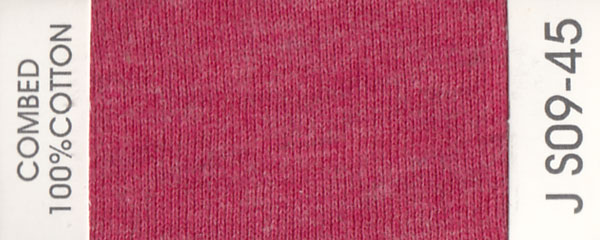 JS09-45